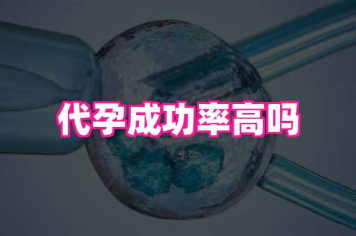 哈尔滨助孕网 3